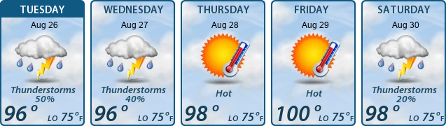 5-Day Forecast
